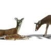 Woodland Scenics White-Tail Deer - Scenic Accents? -- Pkg(6) - HO - A1884